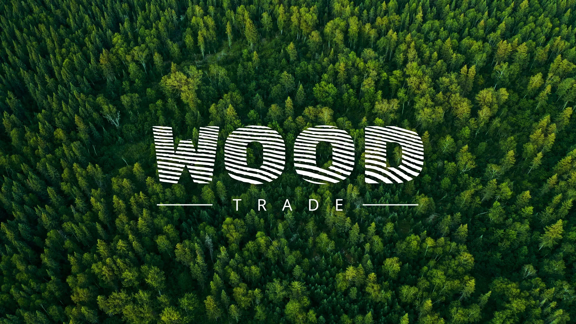 Разработка интернет-магазина компании «Wood Trade» в Верещагино